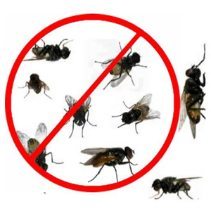 Fly Control