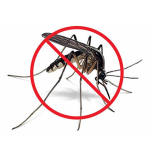 Mosquito Control
