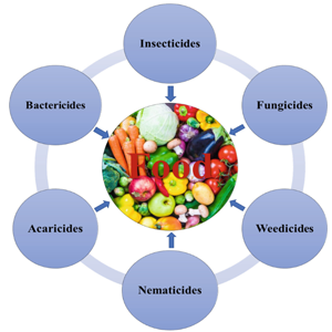 Public Health Insecticides