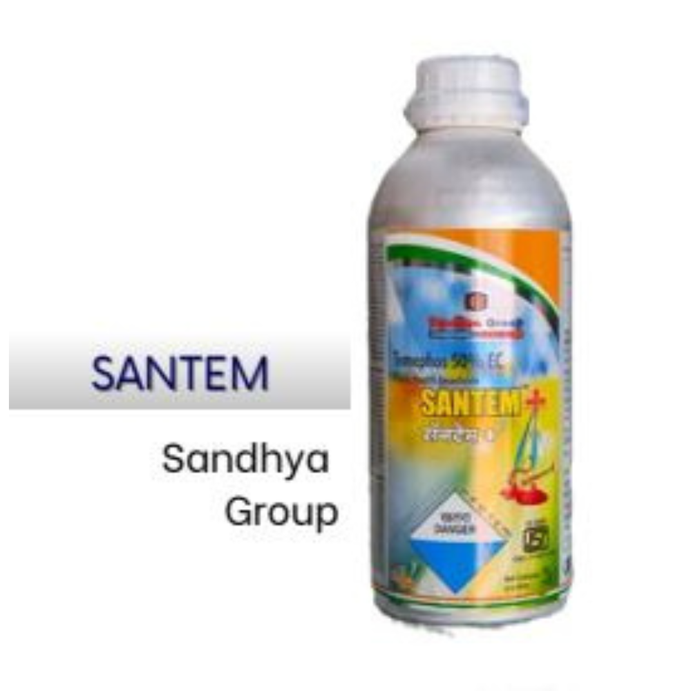 Santem-Sandhya-Group