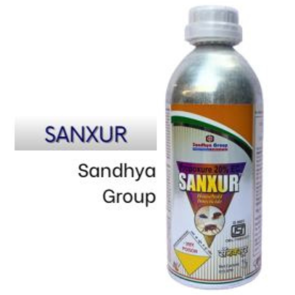 Sanxur – Sandhya Group